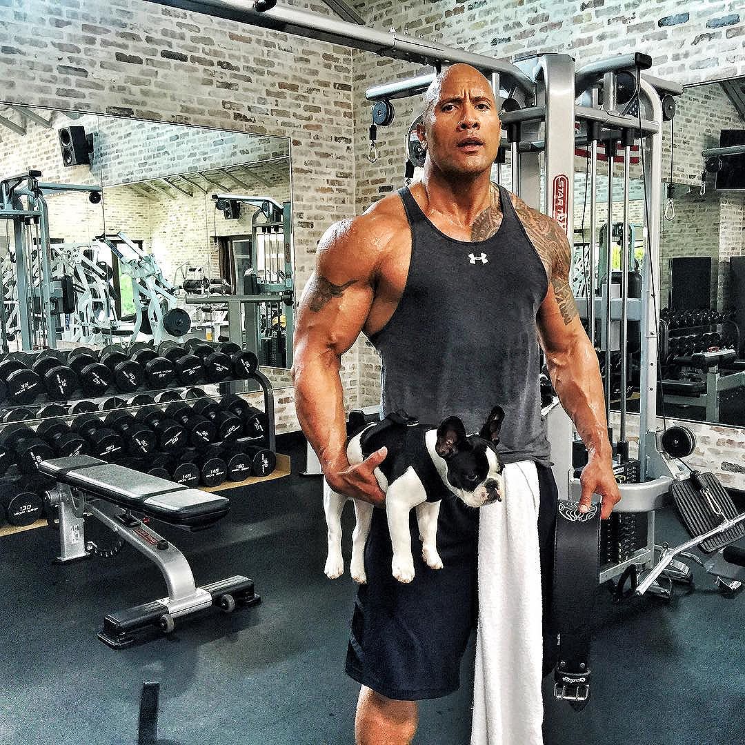 The Rock Dwayne Johnson Gym | The Guy Blog