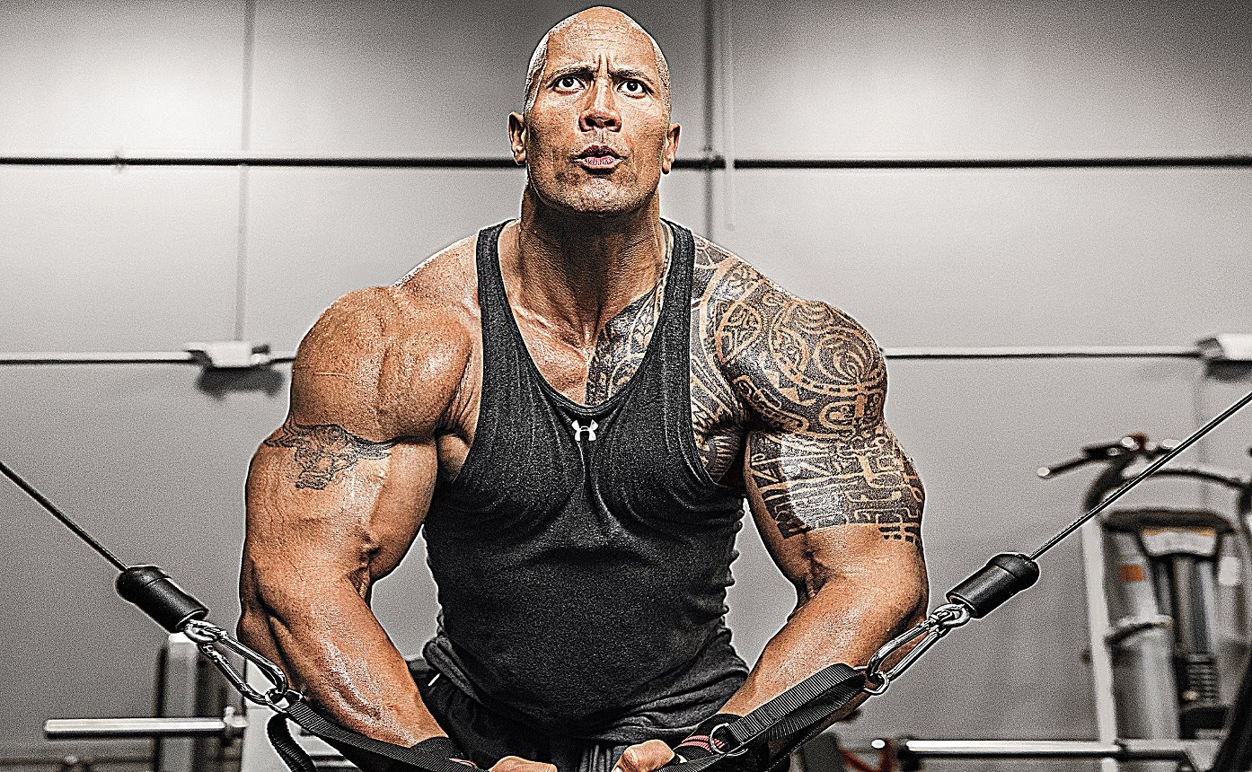 The Rock Gym Beast | The Guy Blog