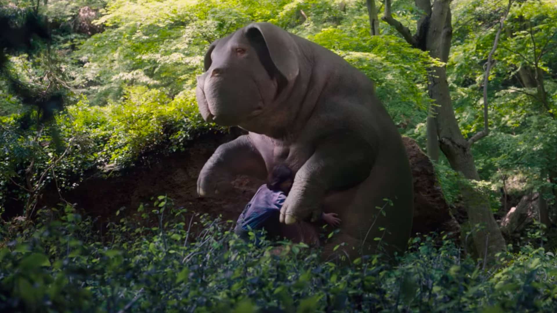 Best Movies on Netflix Okja