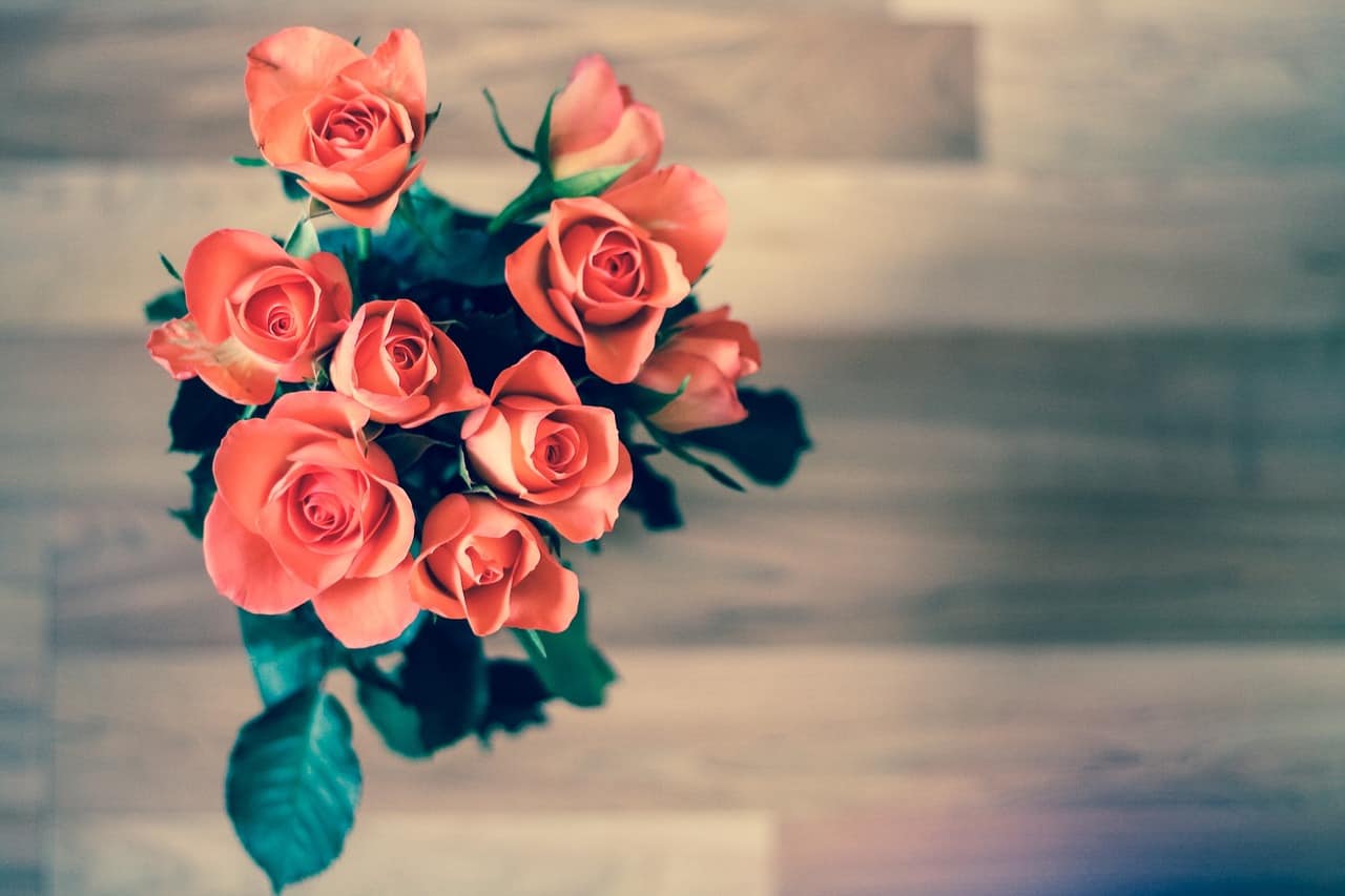 Valentines Day Roses | The Guy Blog